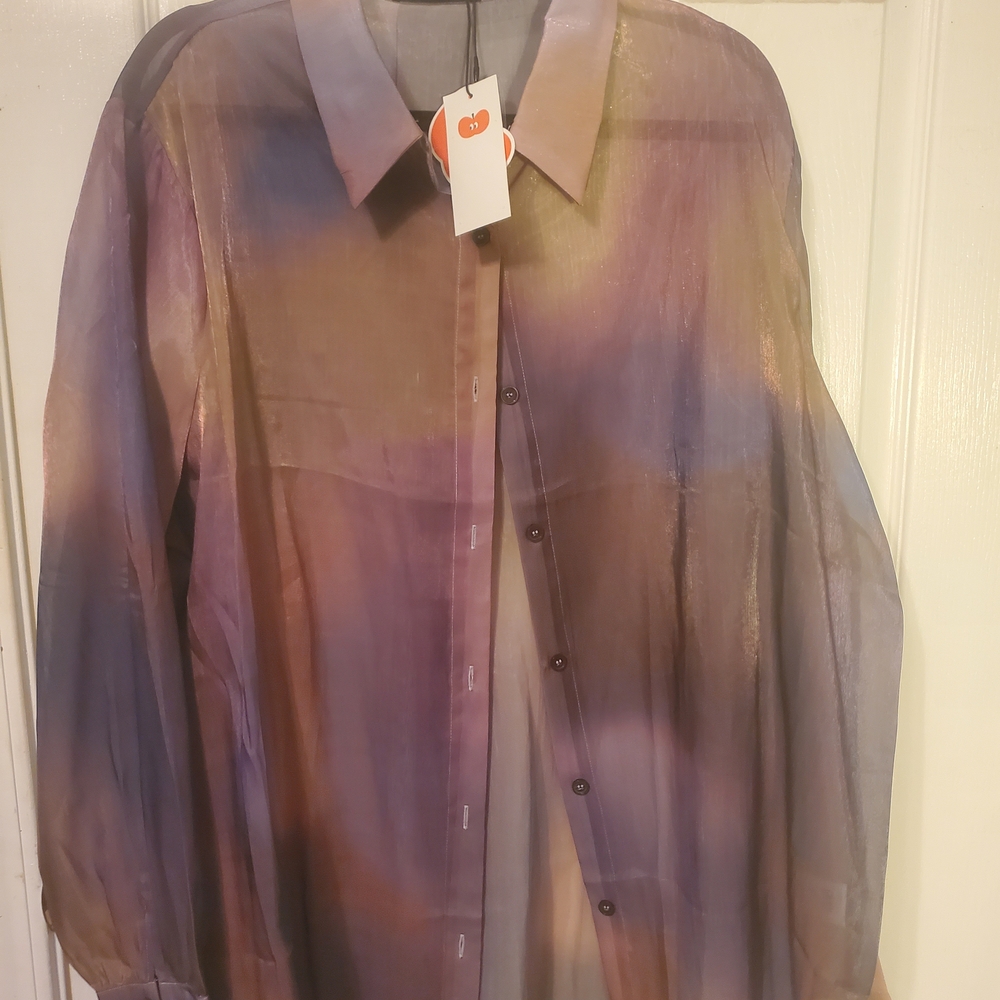 Cider Multicolor Sheer Blouse